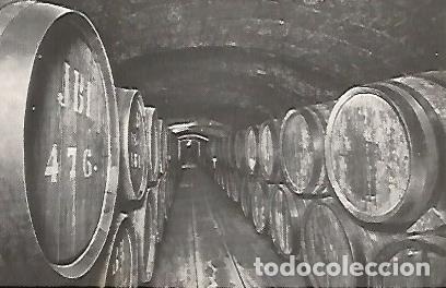 Postales: POSTAL A0344: Vinos en crianza. Codorniu - Varios