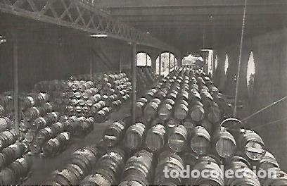 Postales: POSTAL A0349: Bodega de Codorniu - Varios