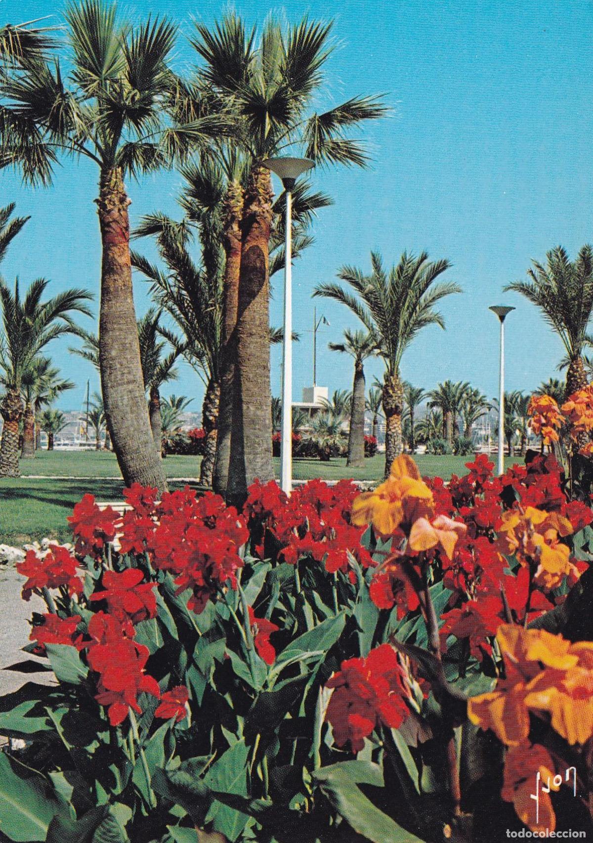 Postales: POSTAL 18821: Cannes - Varios