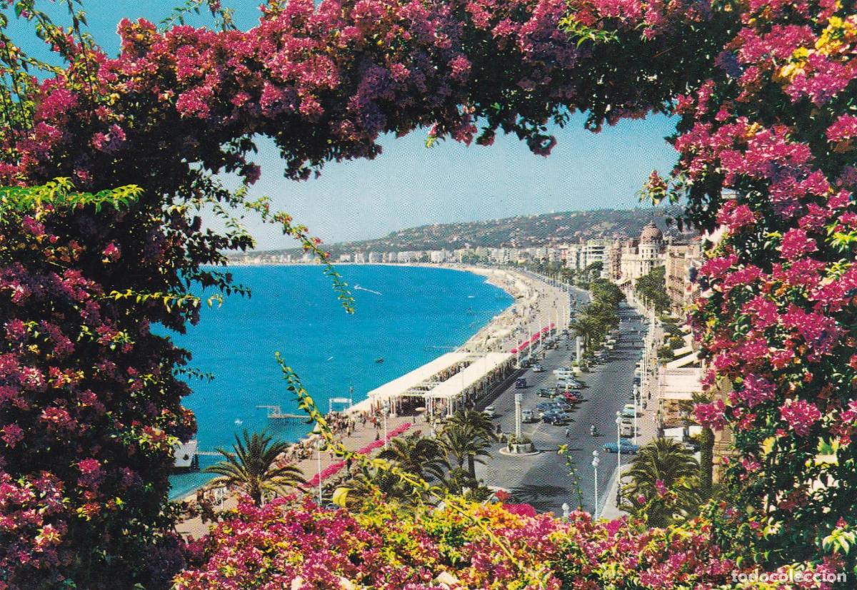 Postales: POSTAL 18982: NICE - Varios - Foto 1