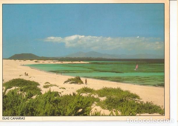 Cartoline: Postal 047380 : Islas Canarias. Corralejo - Varios