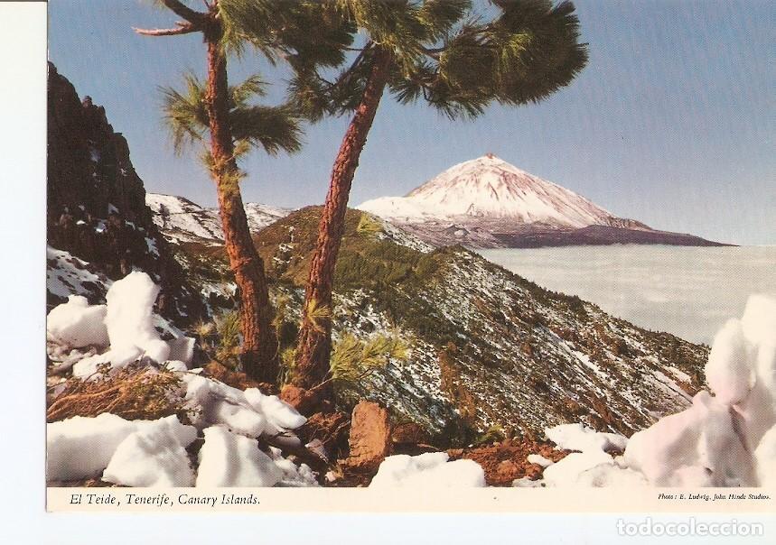 Cartes Postales: Postal 023452 : Tenerife El Teide (Canarias) - Varios