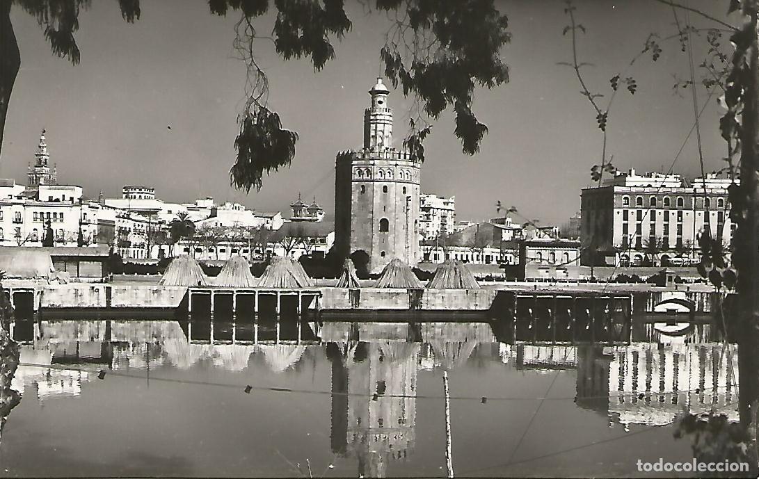 Postkarten: Postal 50708: SEVILLA - Torre del Oro - Varios