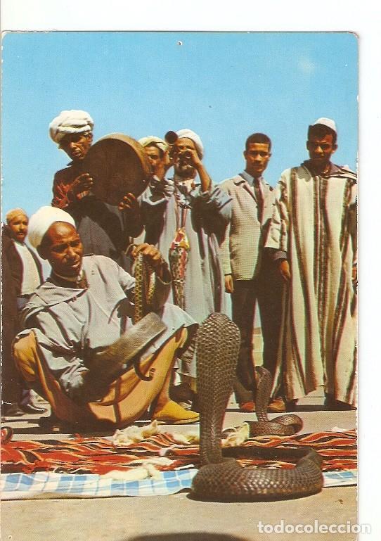 Postkarten: Postal 020612 : Maroc typique - Varios