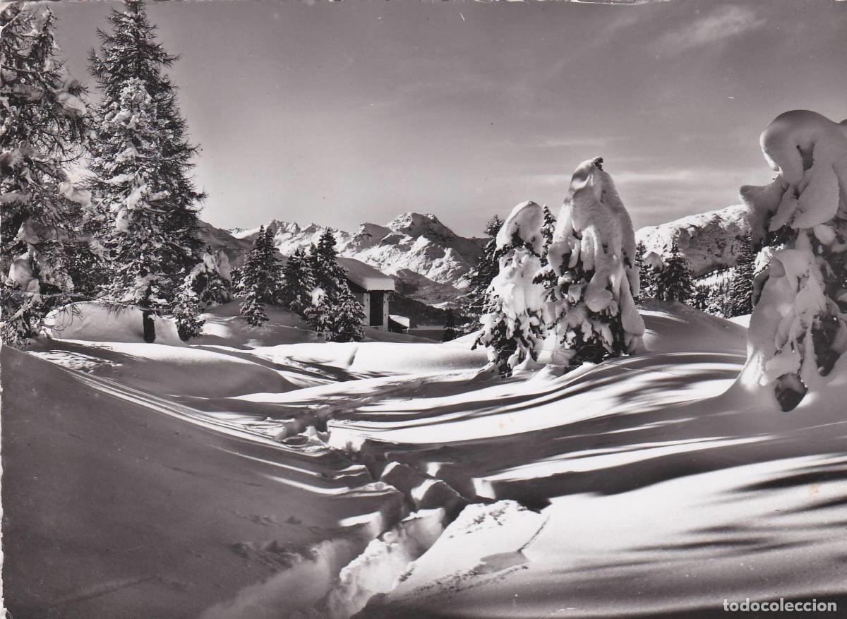Postkarten: POSTAL 19138: OBER: ALPINA BEI ST MORITZ - Varios