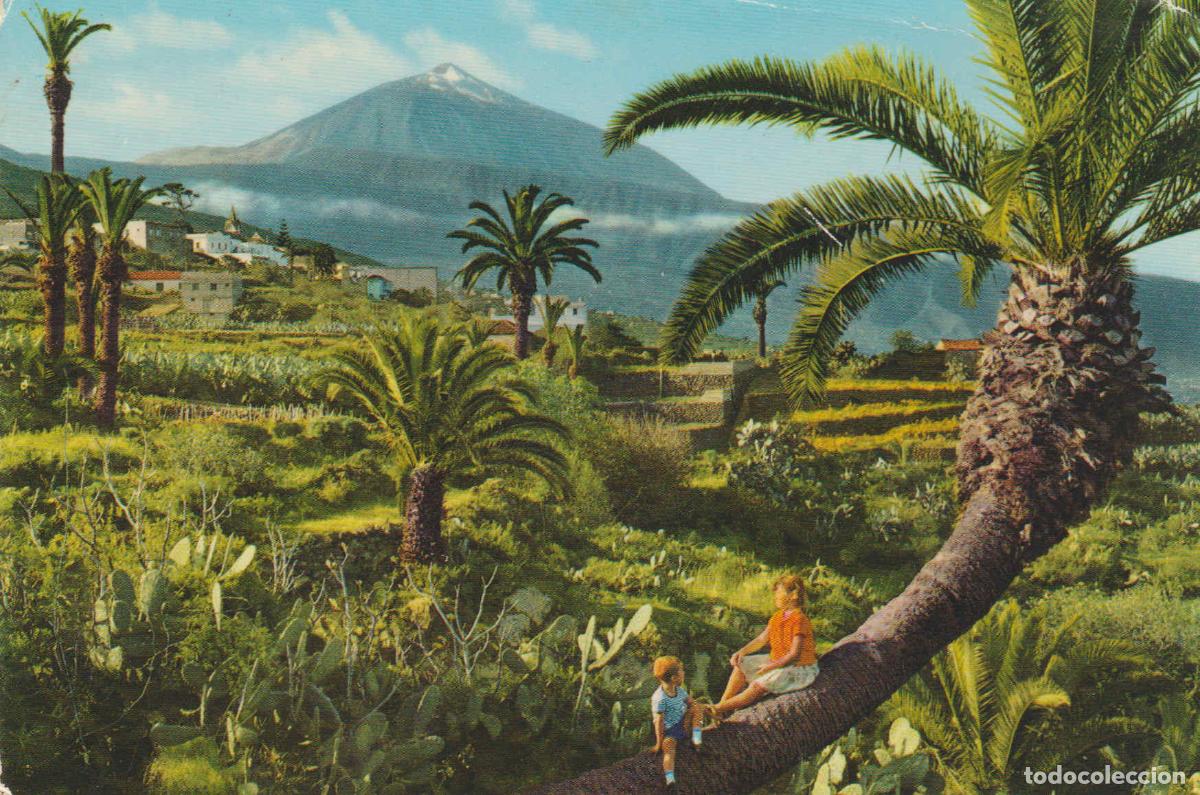 Cartes Postales: POSTAL 62704 : Tenerife. Espa&ntilde;a - Varios