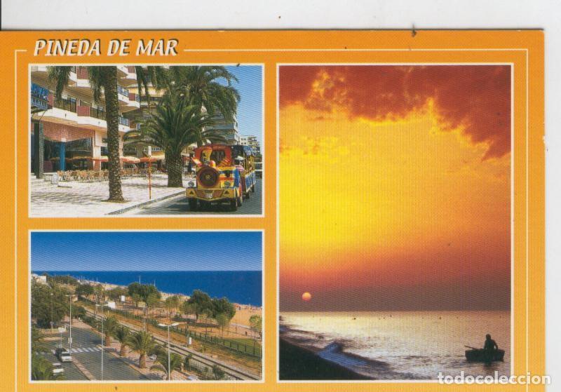 Postais: Postal 7040 : Pineda de Mar: vista general - Varios