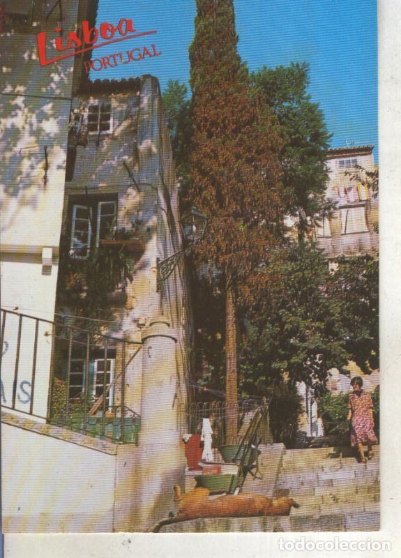 Postais: Postal 013835: Rua tipica de Alfama, Lisboa, portugal - Varios