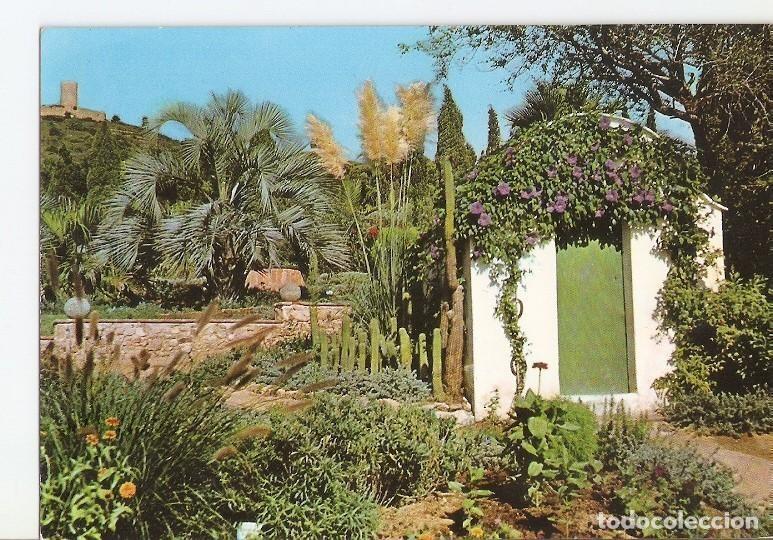 Postais: Postal 022321 : Jardin Botanico Mar i Murtra, Blanes - Costa Brava - Varios