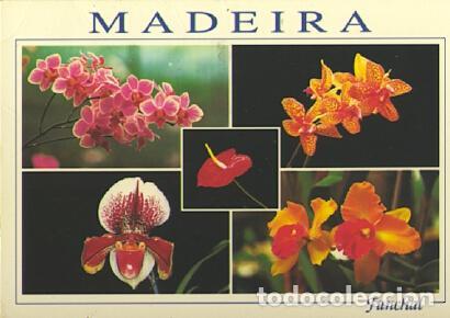 Postais: POSTAL 57515: Madeira Funchal Madeira Orchid Farm Quinta dos Saltos - Varios