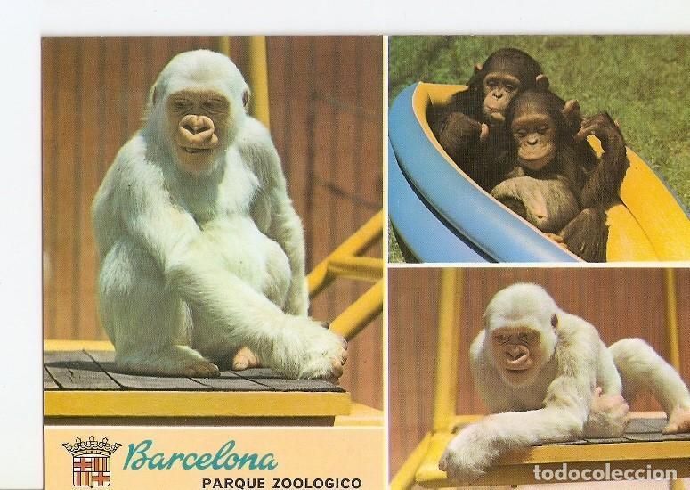 Cartoline: Postal 022278 : parque zoologico de Barcelona - Varios