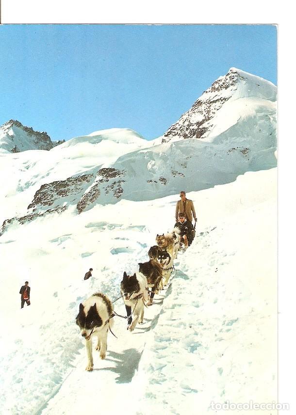 Cartes Postales: Postal 029378 : Jungfraujoch - Varios
