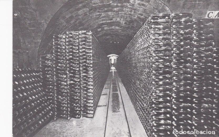 Postales: POSTAL B6240: CASA CODORNIU: BOTELLAS DE CAVA - Varios
