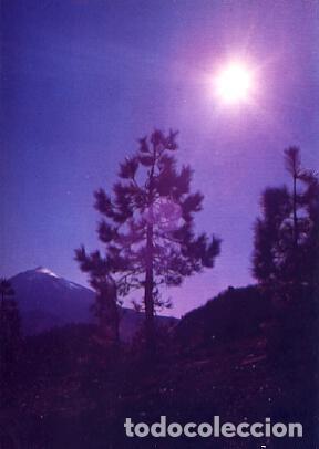 Postales: POSTAL 57694: Tenerife El Teide guarda los secretos de los a&ntilde;os - Varios