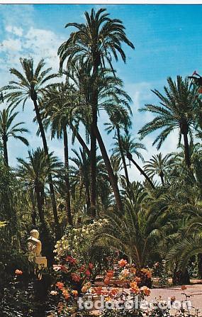 Postales: POSTAL 57932: Elche Parque Municipal detalle del Jardin - Varios