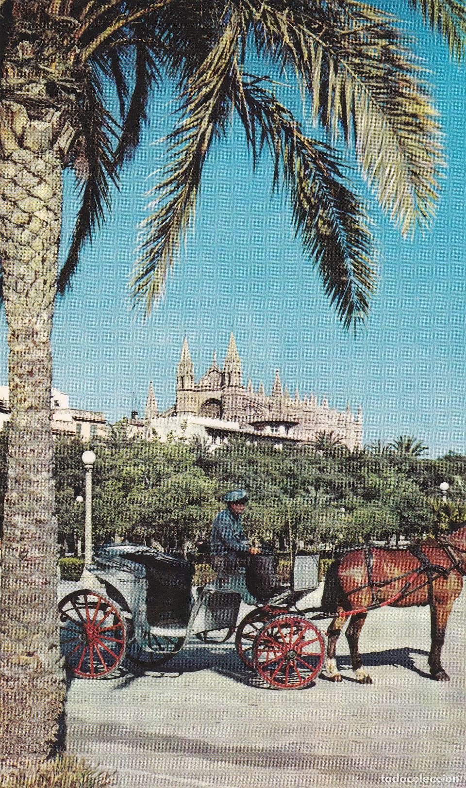 Postkarten: POSTAL B6818: MALLORCA: PALMA - Varios