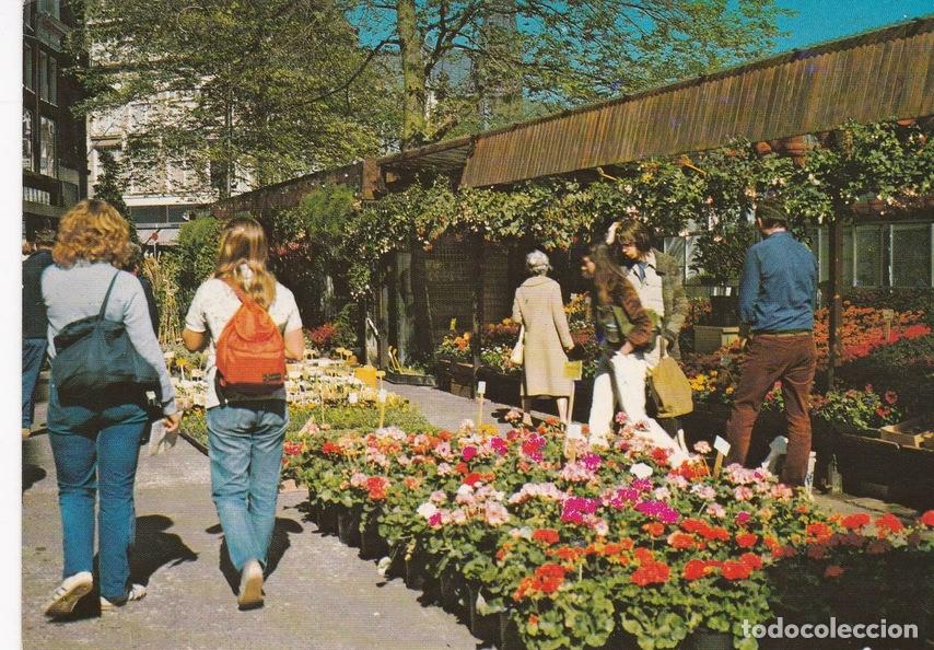 Postkarten: POSTAL B6841: AMSTERDAM: BLOEMENMARKT - Varios