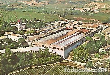 Postales: POSTAL A0036: Cavas Codorniu - Varios