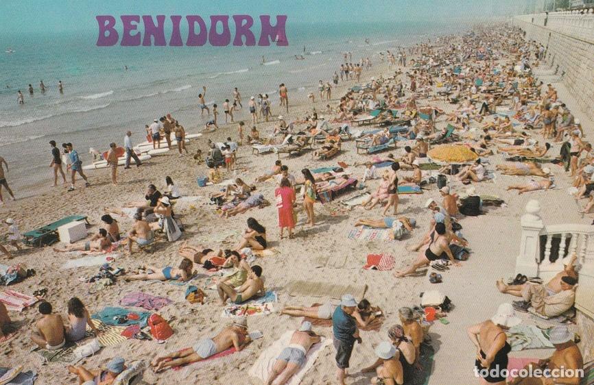 Postales: POSTAL B7580: ALICANTE: BENIDORM - Varios