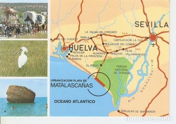 Postkarten: Postal 047280 : Matalasca&ntilde;as (Huelva). Romeria del Rocio. Espatula (Platalea leucordio). Torre - Var