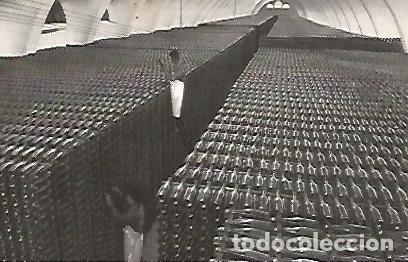 Postales: POSTAL A0351: Codorniu. Bodega en invierno - Varios