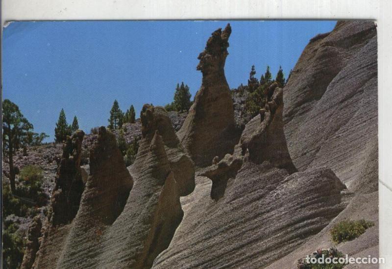 Postkarten: Postal 4442 : Tenerife: Fantasia natural - Varios