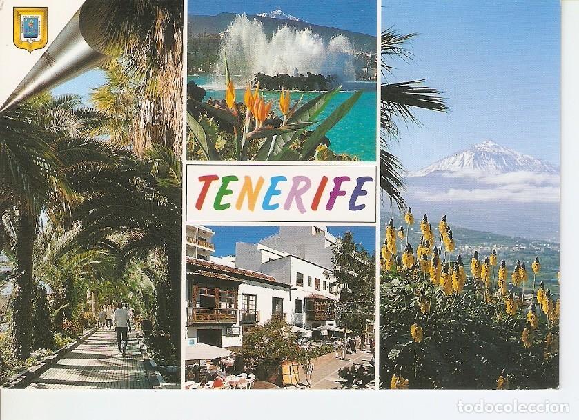 Cartoline: Postal 030484 : Tenerife - Varios