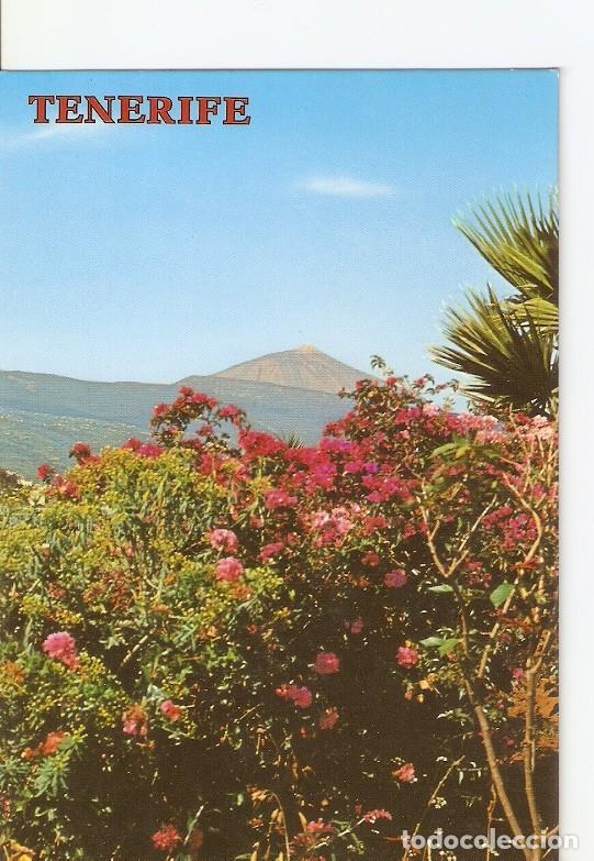 Postcards: Postal 020814 : El teide - Tenerife - Varios