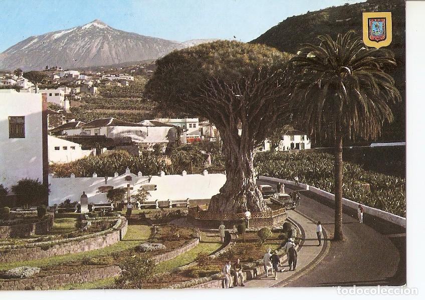 Postkarten: Postal 037296 : Icod de los Vinos (Tenerife). El Drago Milenario - Varios