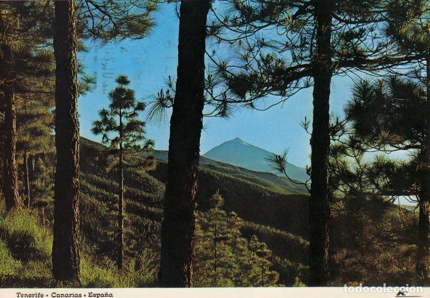 Postais: Postal 60283: Vista del teide al atardecer (Tenerife) - Varios