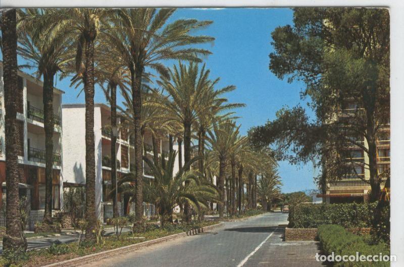 Postais: Postal 07937 : Torremolinos, paseo de las palmeras - Varios