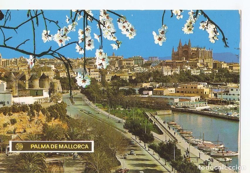 Postkarten: Postal 043388 : Paseo Maritimo - Almendros en flor - Palma de Mallorca - Varios