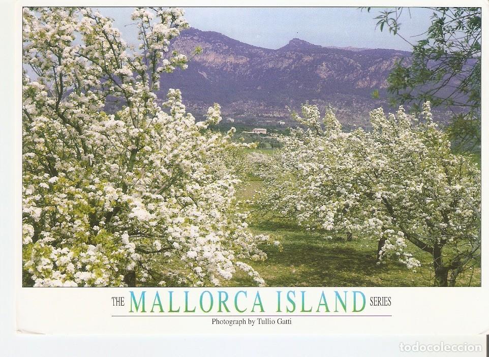 Postales: Postal 044265 : Primavera en Mallorca - Varios - Foto 1