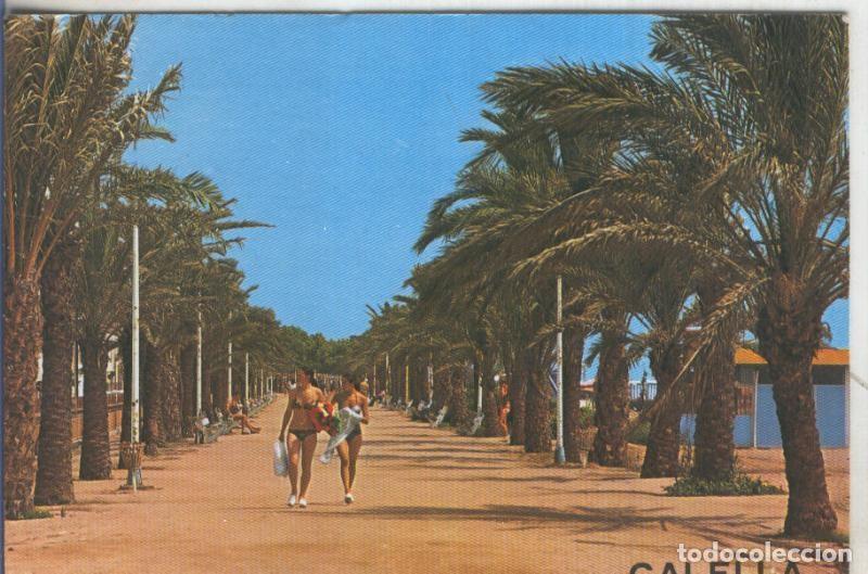 Postales: Postal 5168 : Paseo maritimo de Calella de Mar - Varios - Foto 1