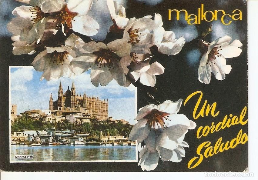 Postkarten: Postal 034265 : Mallorca (Baleares) Espa&ntilde;a. Palma - La Catedral - Varios