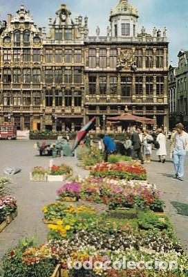 Postkarten: POSTAL 57834: Bruxelles Grand Place et Marche aux fleurs - Varios