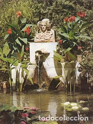 Postais: POSTAL 57893: Elche Puerto del Cura La Alberca de la Dama de Elche - Varios