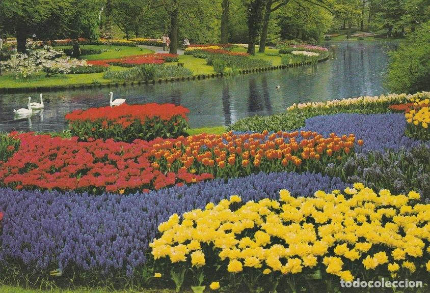 Postcards: POSTAL B6836: AMSTERDAM: BLOEMENTOOI - Varios