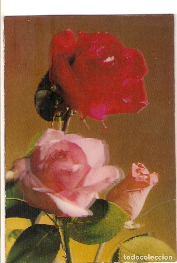 Postales: Postal 028448 : Rosas - Varios - Foto 1