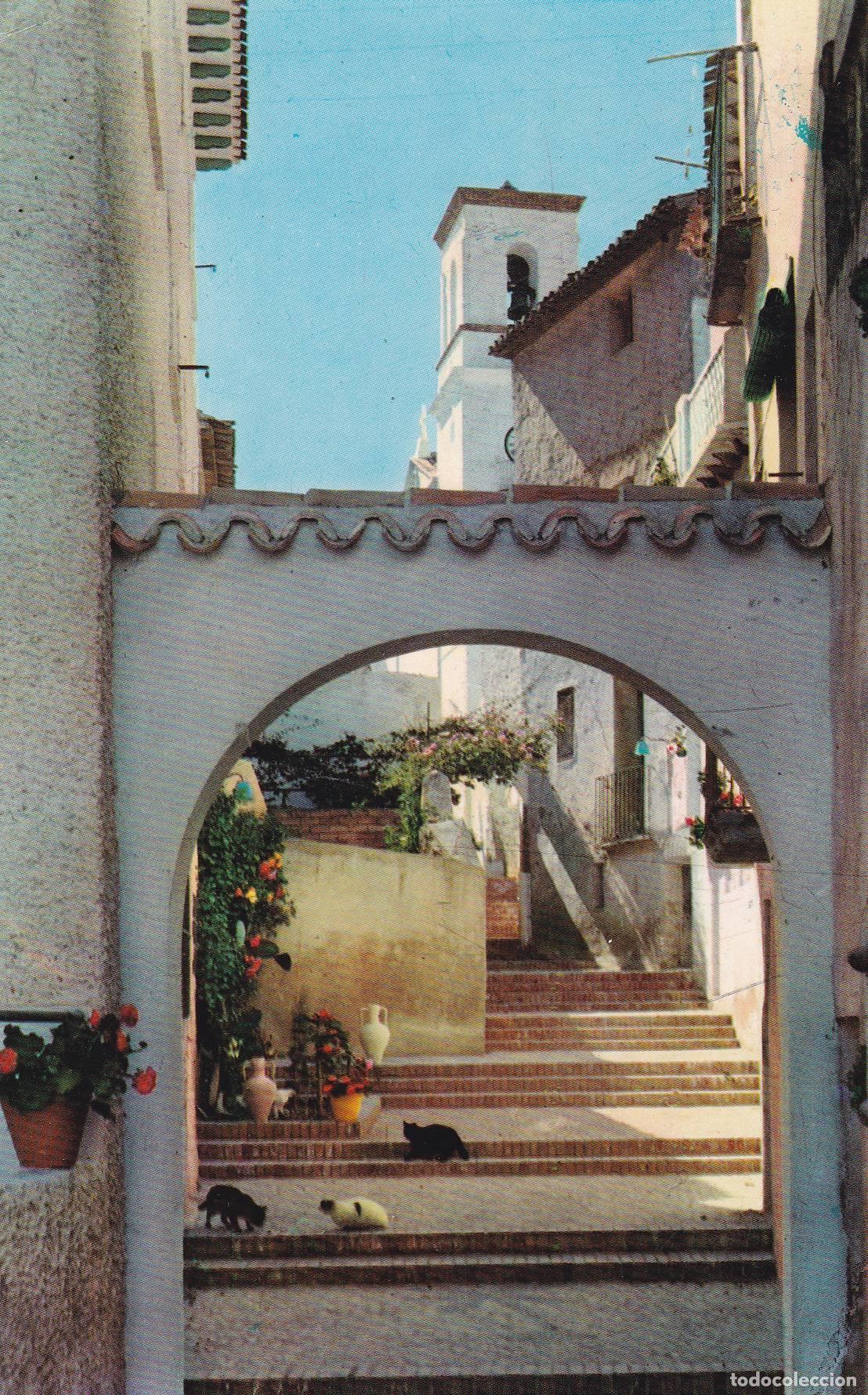 Postales: POSTAL B7504: ALICANTE: BENIDORM - Varios