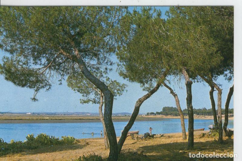 Postkarten: Postal 7167 : Huelva, isla Cristina - Varios
