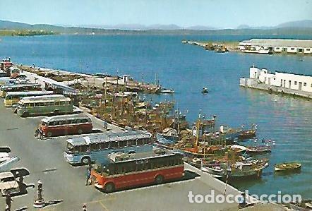 Postales: POSTAL 53276: ALGECIRAS. Puerto - Varios