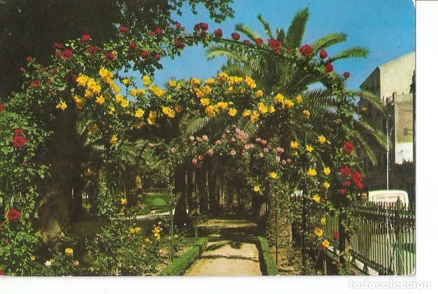 Cartes Postales: Postal 042815 : Murcia. Jardin de Floridablanca. Detalle - Varios
