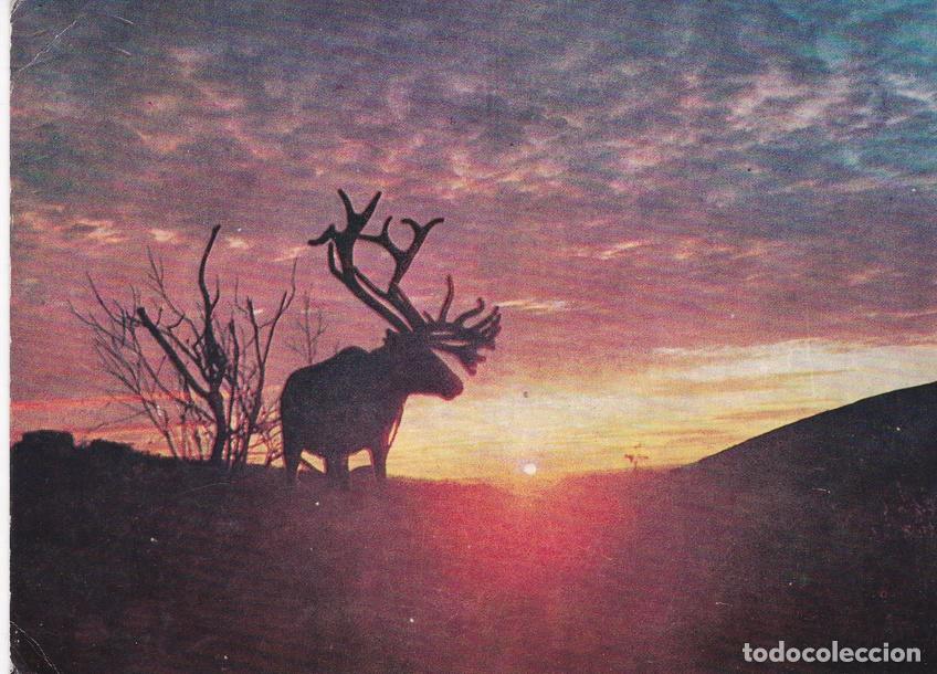 Postcards: POSTAL B7962: FINLANDIA: LAPLAND - Varios