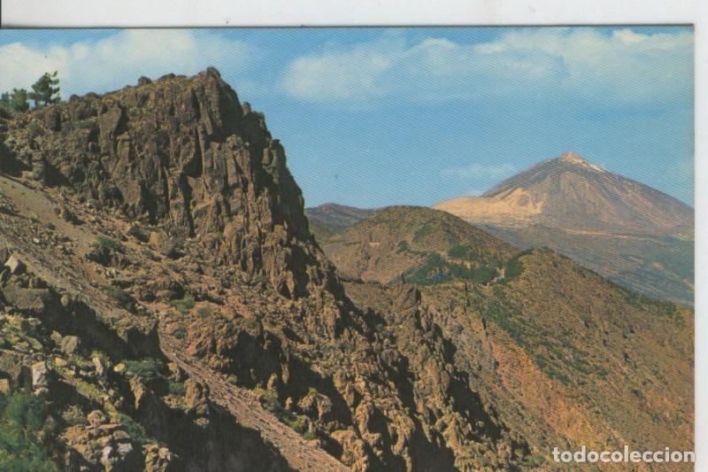 Postais: Postal 08113: Tenerife, Cumbres del Teide - Varios