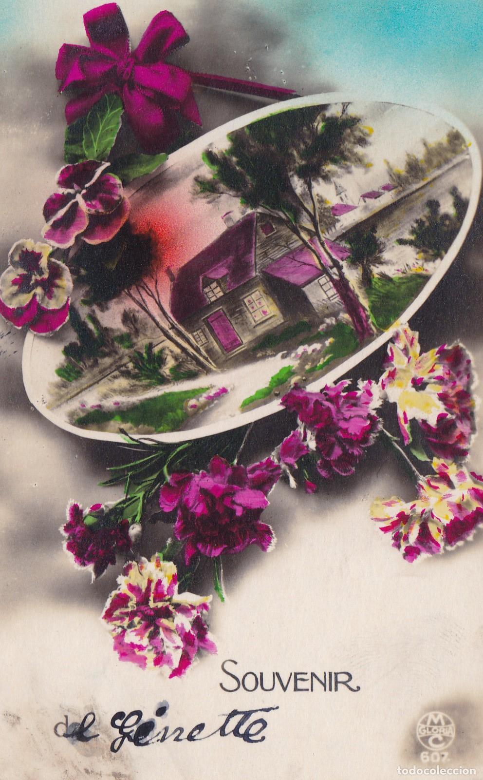 Postcards: POSTAL 18877: Souvenir - Varios