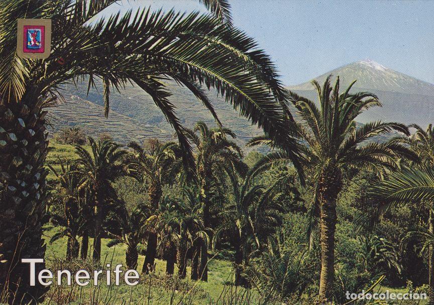 Cartoline: Postal 60276: Detalle de la costa del Norte (Tenerife) - Varios