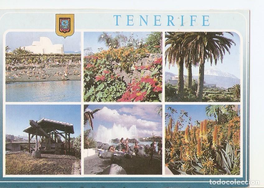 Postais: Postal 037167 : Tenerife. Diversos aspectos - Varios