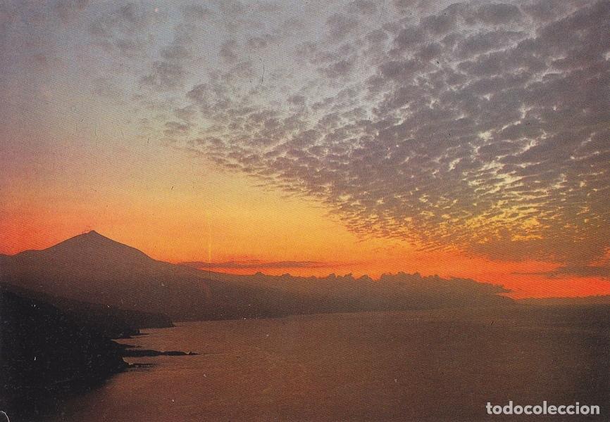 Cartoline: Postal 60239: Atardecer al fondo el teide (Tenerife). - Varios