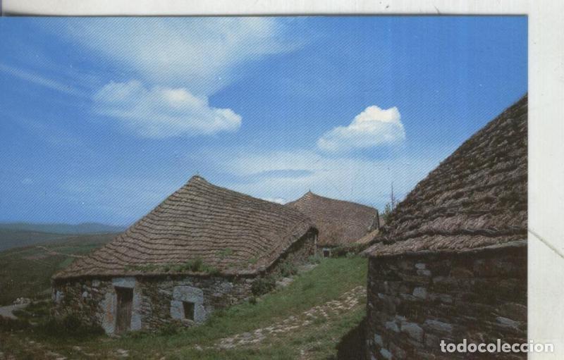 Cartoline: Postal 4160 : Lugo: Poblado Prehistorico en O Cebreiro - Varios
